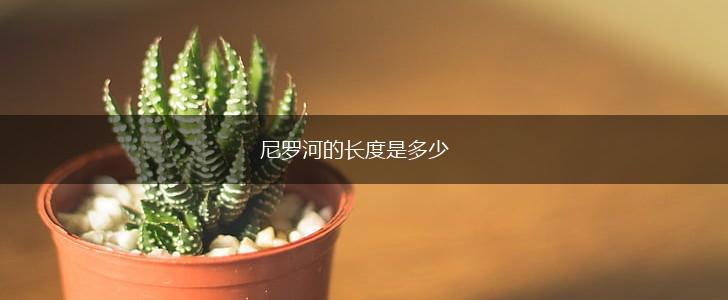 尼罗河的长度是多少,第1张