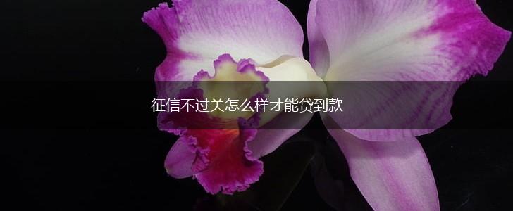 征信不过关怎么样才能贷到款,第1张