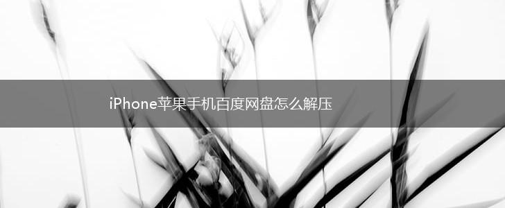 iPhone苹果手机百度网盘怎么解压,第1张
