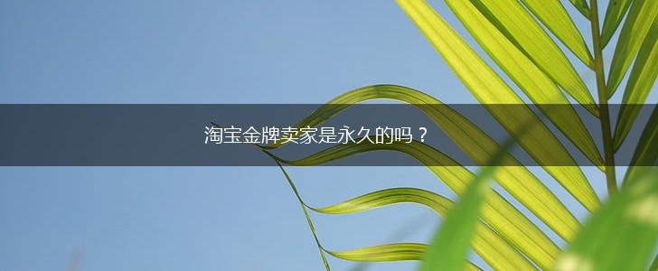 淘宝金牌卖家是永久的吗？,第1张