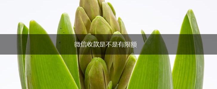 微信收款是不是有限额,第1张