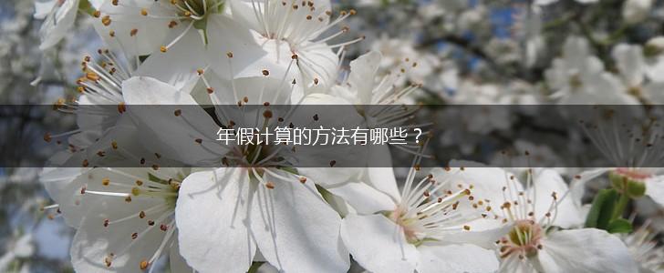 年假计算的方法有哪些？,第1张