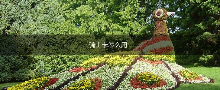 骑士卡怎么用,第1张