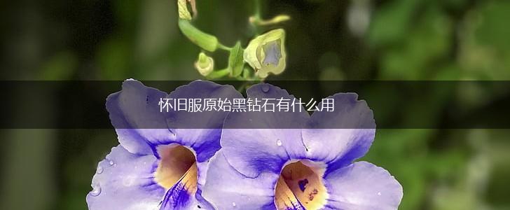 怀旧服原始黑钻石有什么用,第1张