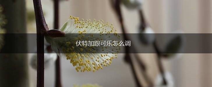 伏特加跟可乐怎么调,第1张