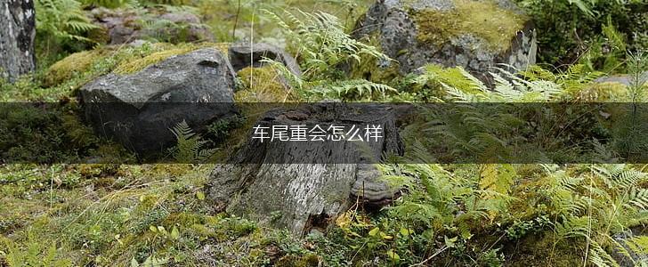 车尾重会怎么样,第1张