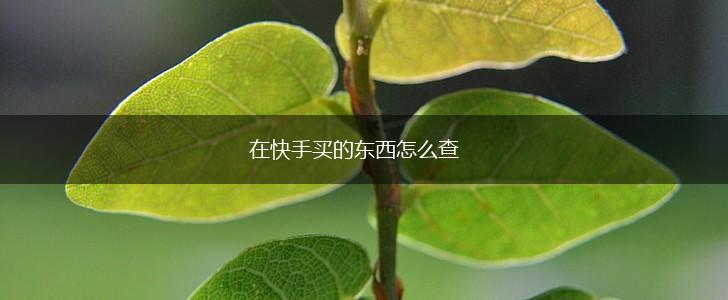 在快手买的东西怎么查,第1张