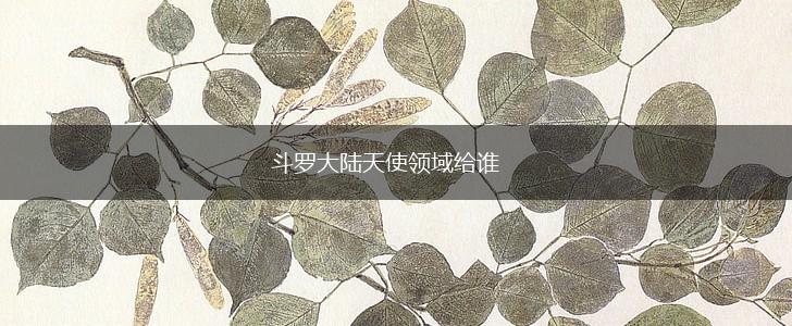 斗罗大陆天使领域给谁,第1张