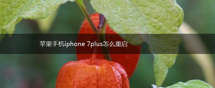 苹果手机iphone 7plus怎么重启,第1张