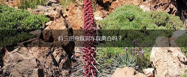 科三拐弯踩刹车踩离合吗?,第1张 科三拐弯踩刹车踩离合吗?,第1张