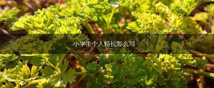 小学生个人特长怎么写,第1张