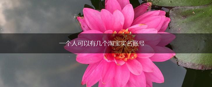 一个人可以有几个淘宝实名账号,第1张