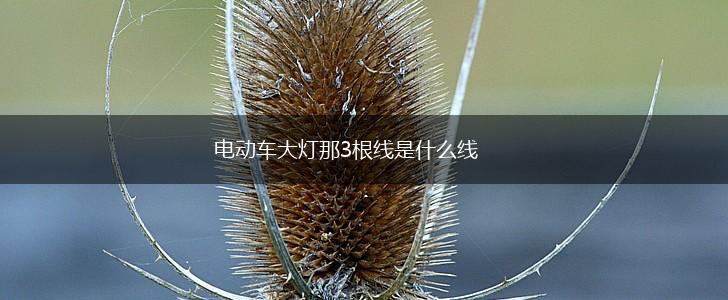 电动车大灯那3根线是什么线,第1张