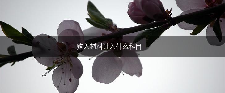 购入材料计入什么科目,第1张