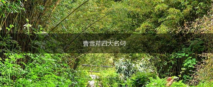 曹雪芹四大名句,第1张