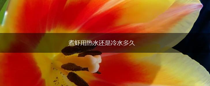 煮虾用热水还是冷水多久,第1张