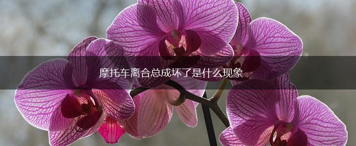 摩托车离合总成坏了是什么现象,第1张