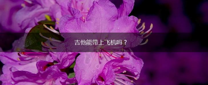 吉他能带上飞机吗？,第1张