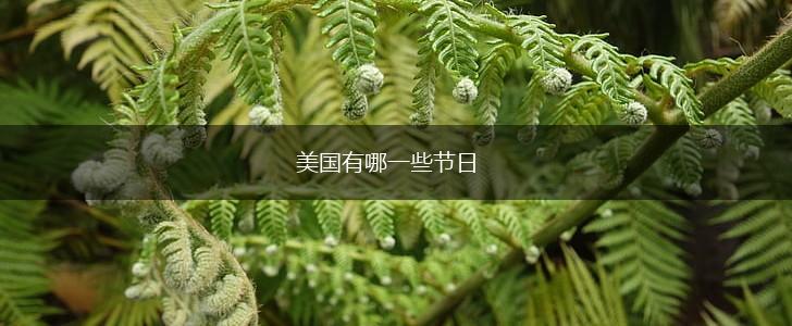 美国有哪一些节日,第1张