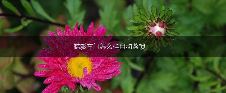 皓影车门怎么样自动落锁,第1张