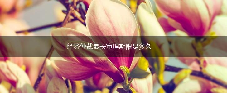 经济仲裁最长审理期限是多久,第1张