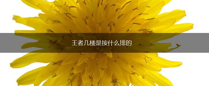 王者几楼是按什么排的,第1张