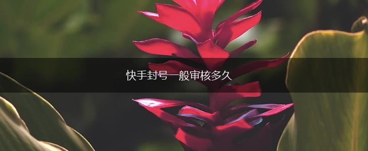 快手封号一般审核多久,第1张