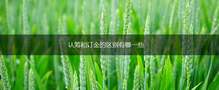 认筹和订金的区别有哪一些,第1张