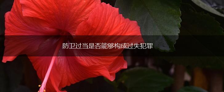 防卫过当是否能够构成过失犯罪,第1张