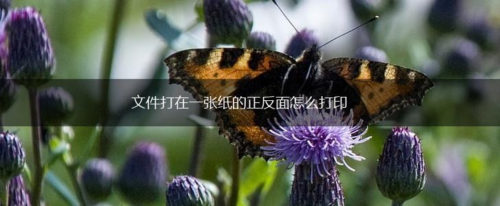 文件打在一张纸的正反面怎么打印,第1张