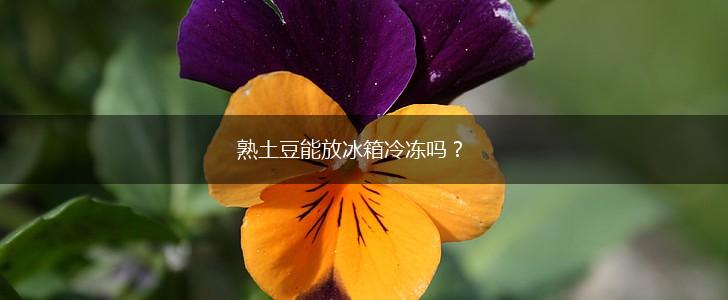 熟土豆能放冰箱冷冻吗？,第1张