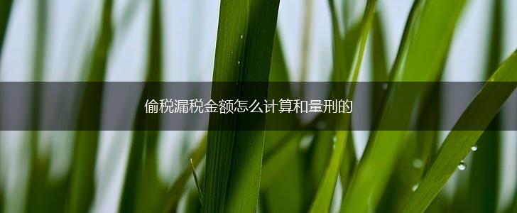 偷税漏税金额怎么计算和量刑的,第1张