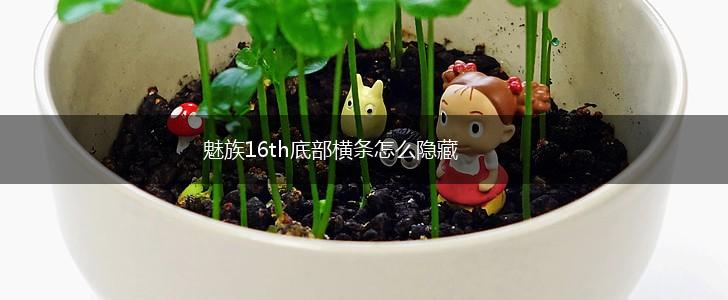 魅族16th底部横条怎么隐藏,第1张