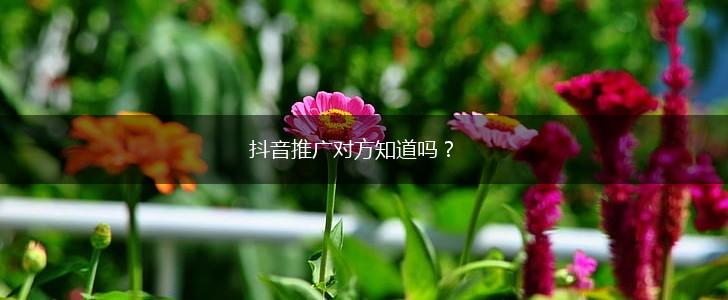 抖音推广对方知道吗？,第1张