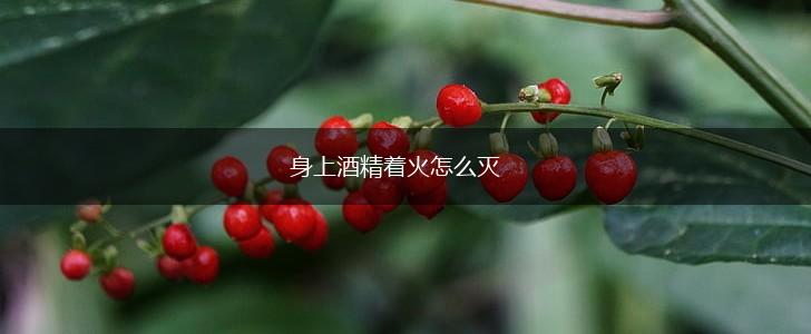 身上酒精着火怎么灭,第1张
