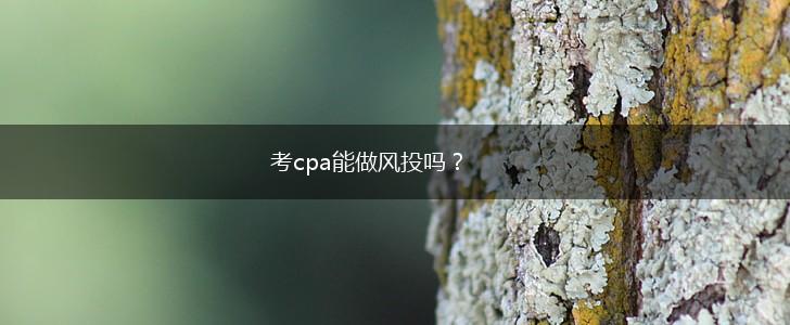 考cpa能做风投吗？,第1张