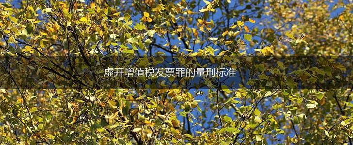 虚开增值税发票罪的量刑标准,第1张