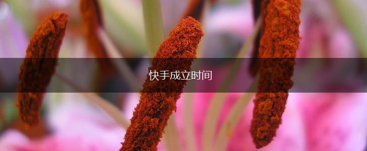 快手成立时间,第1张