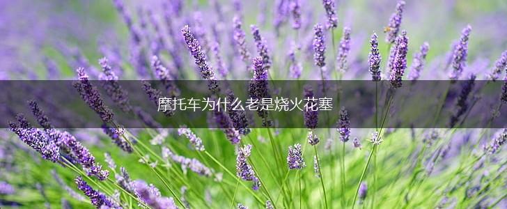 摩托车为什么老是烧火花塞,第1张