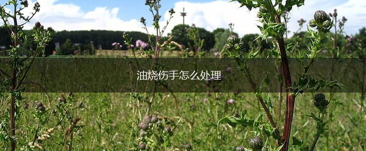 油烧伤手怎么处理,第1张
