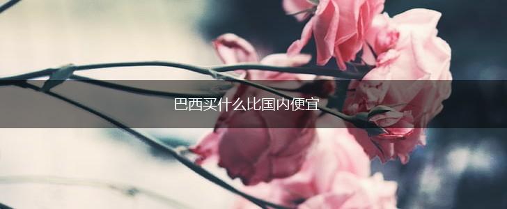 巴西买什么比国内便宜,第1张