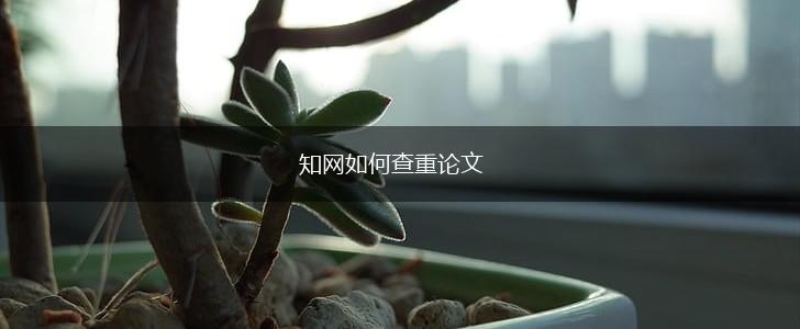 知网如何查重论文,第1张