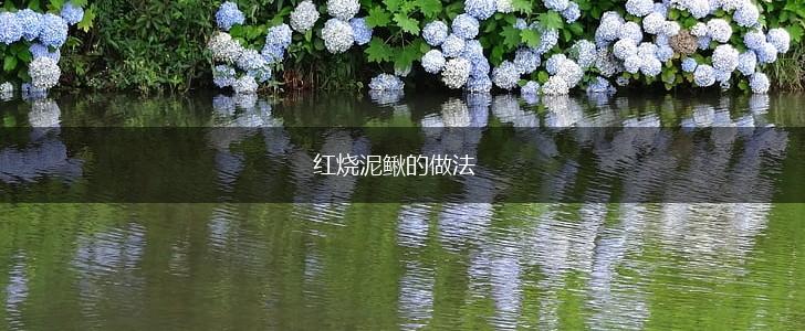 红烧泥鳅的做法,第1张