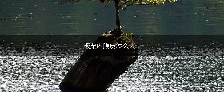 板栗内膜皮怎么去,第1张