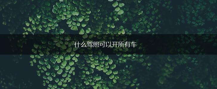 什么驾照可以开所有车,第1张