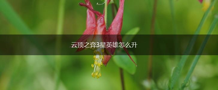 云顶之弈3星英雄怎么升,第1张