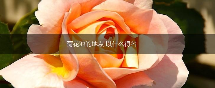 荷花池的地点 以什么得名,第1张