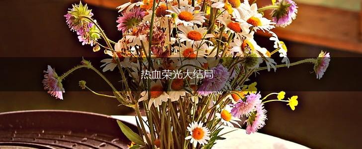 热血荣光大结局,第1张