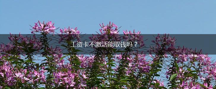 工资卡不激活能取钱吗？,第1张