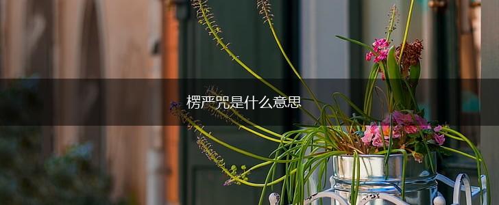 楞严咒是什么意思,第1张